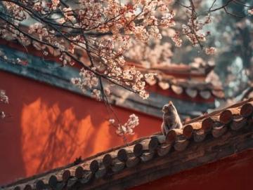 中国各地春节习俗大盘点,你家乡上榜了吗?