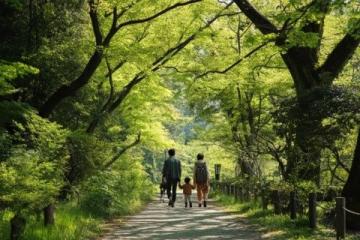 全国五大踏青公园推荐,解锁春日亲子乐趣之旅