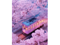 说走就走的旅行";