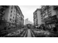 都市生活的魅力与压力：光鲜背后的真实图景