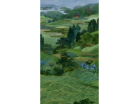 成都平原的稻田：不只是风景，更是生活与希望