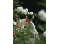 农家春味浓，野菜香满园，城里售价翻倍贵