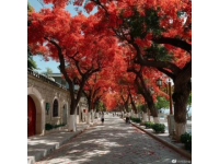 不花钱的厦门景点(如何旅游厦门景点而不花钱)