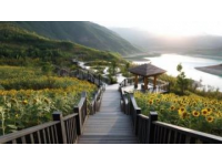 珠海旅游全攻略：景点美食住宿一应俱全