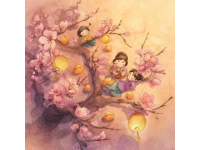 大家好，我是老袁,沙湖公园赏梅攻略附免费打卡点+周边玩法，一键收藏！