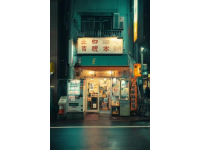 如何定制你的东京之旅：个性化攻略指南