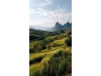 这些城市的名字串起来就像一条独特的旅行路线,沭阳县有着独特的乡村风光