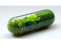 西餐厅美食探店|窗苔·现烤蛋挞、凤栖星乐下午茶，吃货速看！