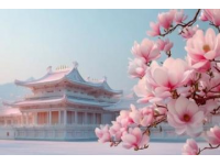金川梨花自驾游详解指南 | 解锁绝美赏花之旅