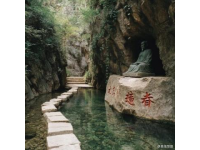 九皇山花溪景辛夷花赏花攻略: 时光、路线、美食交通指南