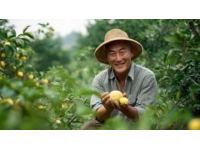 解锁子长黄土地的味觉密码：从煎饼到乡愁的美味之旅