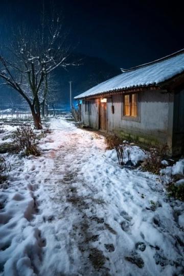 烟台招远,冬至将至,入冬之后的两场降雪,路边的菊花傲视风雪的姿态。