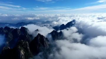 一探杭州西溪湿地魅力,颠覆你对景点的认知