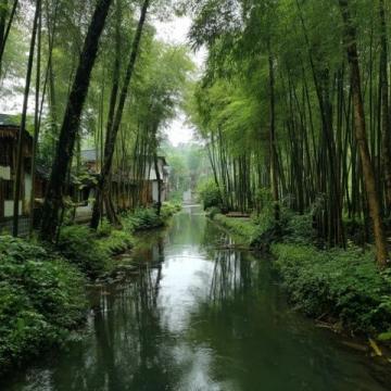 一探杭州西溪湿地魅力,颠覆你对景点的认知