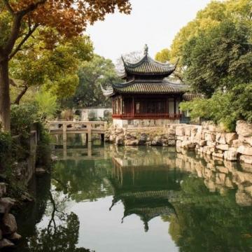 杭州西溪湿地新玩法:隐秘游船下午茶与人文探索之旅