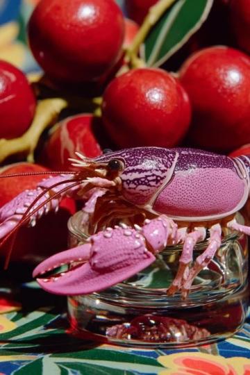 五一去哪里玩?龙虾美食季热闹来袭!