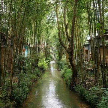 2023.7.8武汉阴雨记:陪读生活点滴与育儿感悟