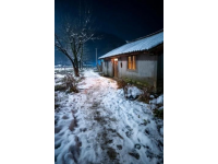 烟台招远，冬至将至，入冬之后的两场降雪，路边的菊花傲视风雪的姿态。