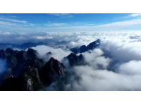 一探杭州西溪湿地魅力，颠覆你对景点的认知