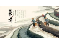 山东特色美食探秘：从早餐到夜宵的地道风味之旅