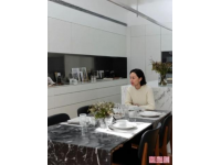 如何选择合适的集成灶(市场上的集成灶品牌和类型有哪些, 怎么挑?)