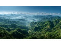 绵阳亲子研学游：逸森麓野自然探索之旅