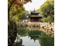 杭州西溪湿地新玩法：隐秘游船下午茶与人文探索之旅