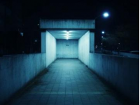 张爱玲36岁意外怀孕，与65岁伴侣的选择与遗憾