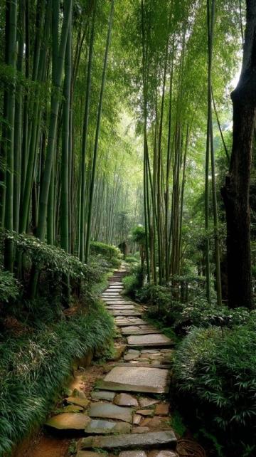 重庆南山植物园花开了吗(重庆南山植物园花开迷人,就是上山下山太拥堵了...)