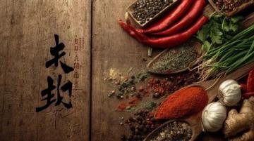 印度美食适应力揭秘:同食异物,中外反应大不同!