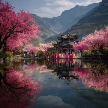 国内游推荐!春节不打烊,热门旅行地速速收藏