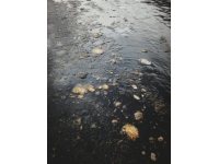 当生活把你踩进泥里，记住这3个反杀法则！无数人靠它绝地翻身……；