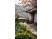 一个浙江的春天，在细枝末节