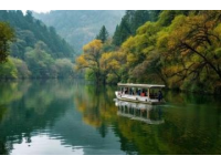 西乡樱桃沟位于陕西省汉中市西乡县，是一个以樱桃种植和生态旅游为特色的景区