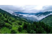 海口旅行攻略：畅游中国行