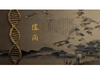 宋祖儿无忧渡之旅：透过半夏之眼探索人妖共存的世界