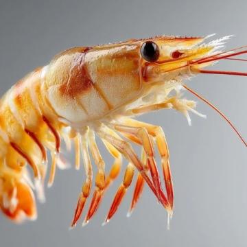 如何在今日头条发布实况照片?夏日小龙虾美食分享
