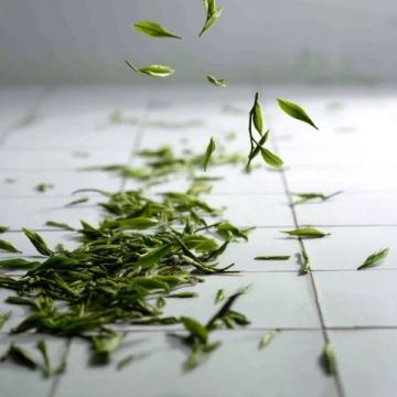 每天一杯普洱茶,身体会收获哪些惊喜?