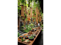 探访地道药材：它们从哪里来？