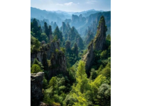 秦岭徒步探险：锅坑梁美景与路线指南