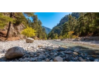 西北大环线旅游攻略：美景与美食之旅