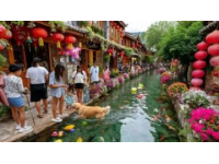 春色满城：延吉花开万象更新，探秘花海、民俗与美食之旅