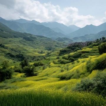 小满时节养生攻略:夏熟作物成熟之际