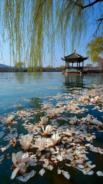 扬州旅游攻略:穿越千年,体验诗意慢生活
