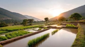 大理:风景与美食交融的云南旅游胜地