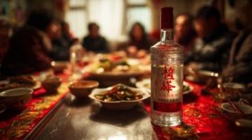 宁夏红酒体验:山海情同款,二十年酒恐再临心中阴影