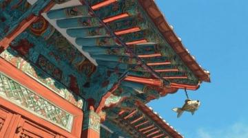 你可能没注意到,但故宫的屋顶上为什么几乎没有鸟屎?