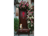 天润铝包木门窗保养小常识:密封胶条的正确使用与维护