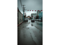 纽约皇后区杰克逊高地美食与景点游记
