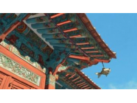 你可能没注意到，但故宫的屋顶上为什么几乎没有鸟屎?